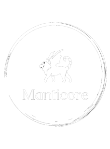 Manticore Security Ltd